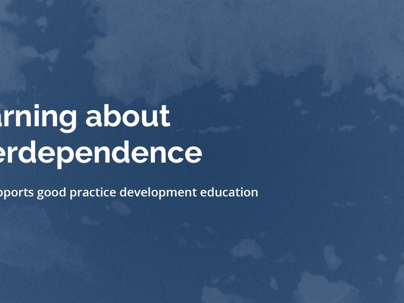 Irish Development Education Association